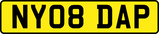 NY08DAP