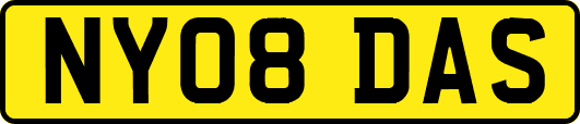 NY08DAS