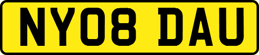 NY08DAU