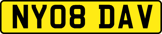NY08DAV