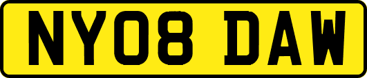 NY08DAW