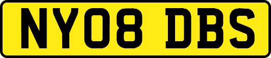 NY08DBS