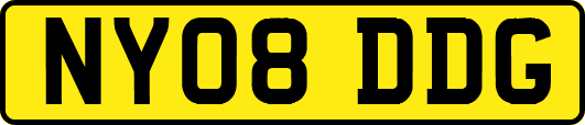 NY08DDG