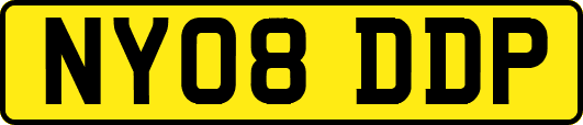 NY08DDP