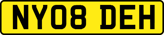 NY08DEH