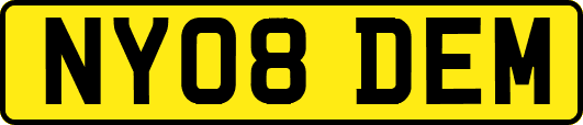 NY08DEM