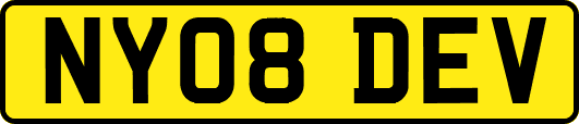NY08DEV