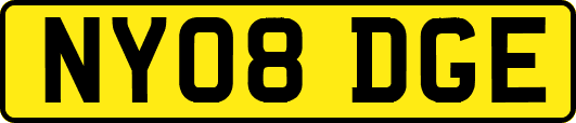 NY08DGE