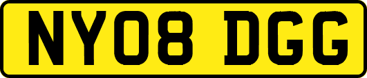 NY08DGG