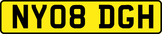 NY08DGH