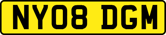 NY08DGM