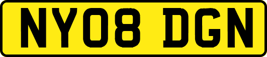 NY08DGN