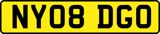 NY08DGO