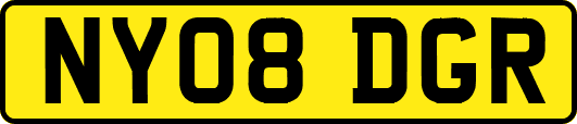 NY08DGR