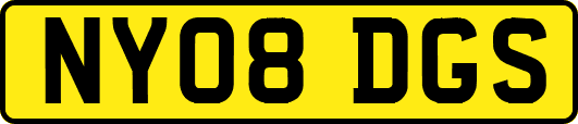 NY08DGS