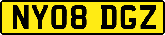 NY08DGZ
