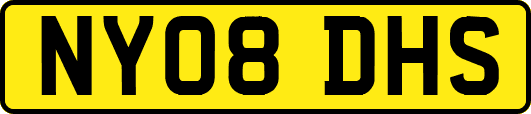 NY08DHS