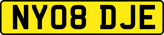 NY08DJE