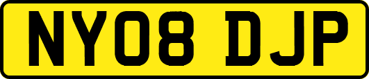 NY08DJP