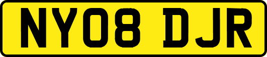 NY08DJR