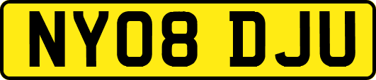 NY08DJU