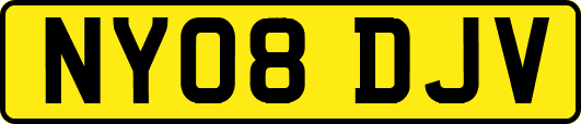 NY08DJV