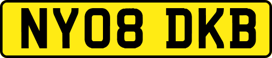 NY08DKB
