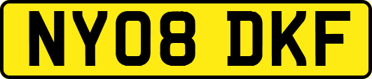 NY08DKF