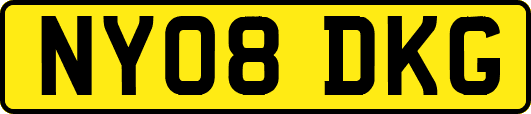 NY08DKG