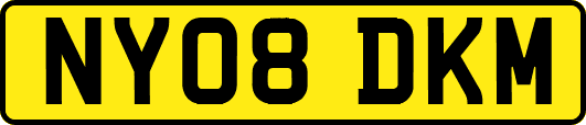 NY08DKM