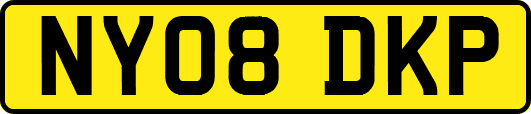 NY08DKP