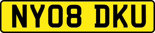 NY08DKU