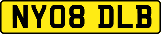 NY08DLB