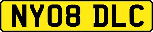 NY08DLC