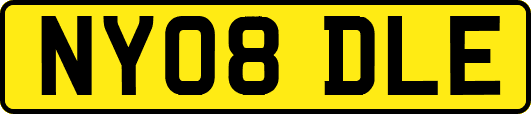 NY08DLE