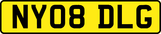 NY08DLG