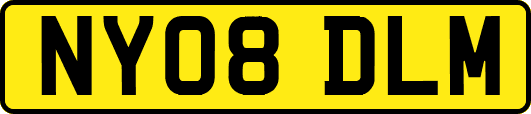 NY08DLM