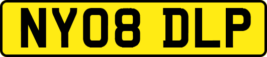 NY08DLP