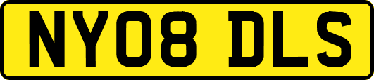 NY08DLS