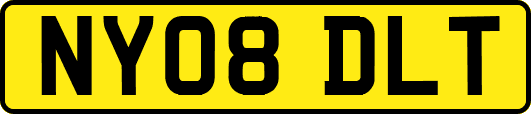 NY08DLT