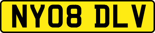 NY08DLV