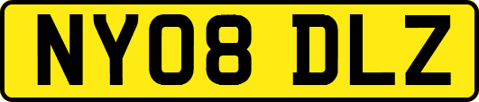 NY08DLZ
