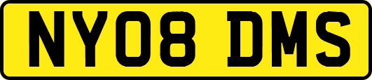 NY08DMS