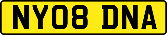 NY08DNA