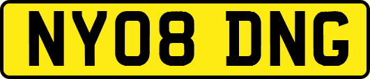 NY08DNG
