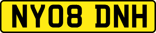 NY08DNH