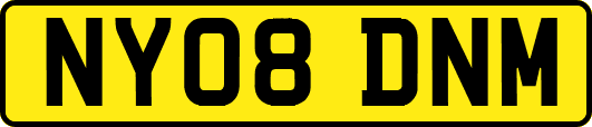 NY08DNM
