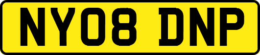 NY08DNP