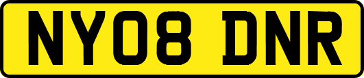 NY08DNR