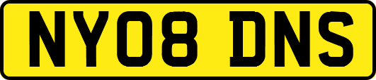 NY08DNS